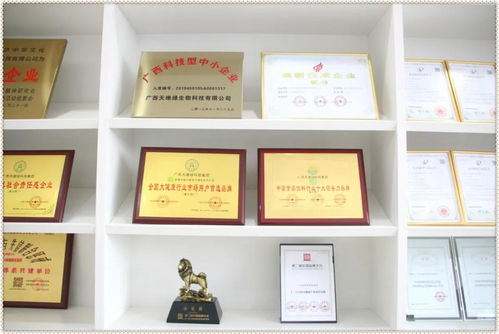 榮譽背后的含金量 一份嚴格到咂舌的技術牌照與技術咨詢